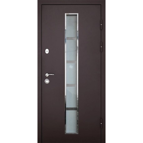 Входные двери СТ-101 RAL 8019 / Дуб бронзовый