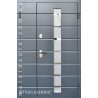 Двери входные Remsa Big Glass RAL 7016